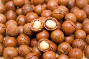 Macadamia Nuts in the shell Medicinal Foods pre-cracks our macnuts, before drying, making it the tastiest and crunchiest macnut in the world