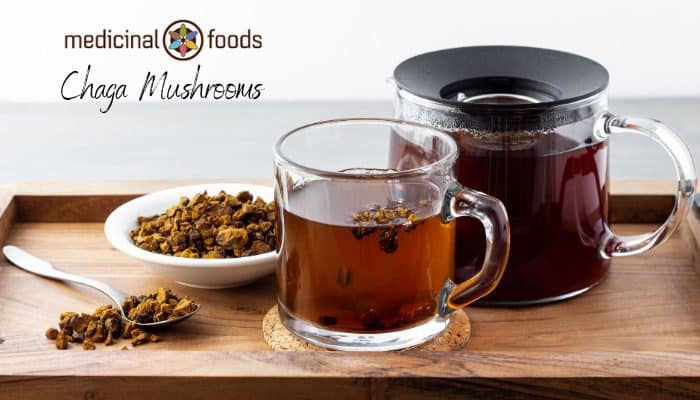 Chaga Mushrooms