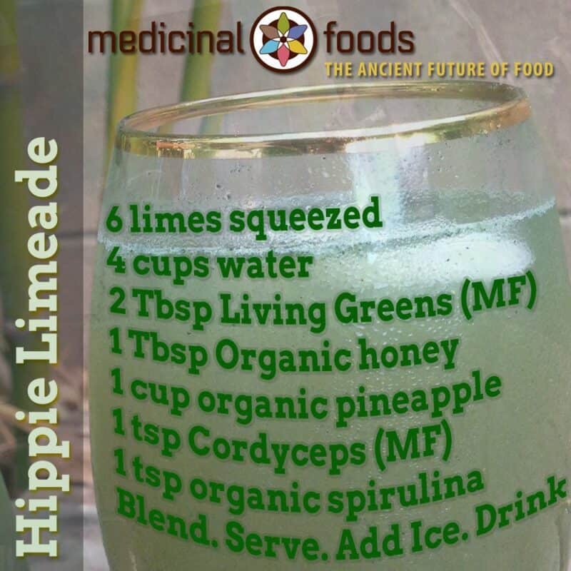 Organic Hippie Limeade Green Drink