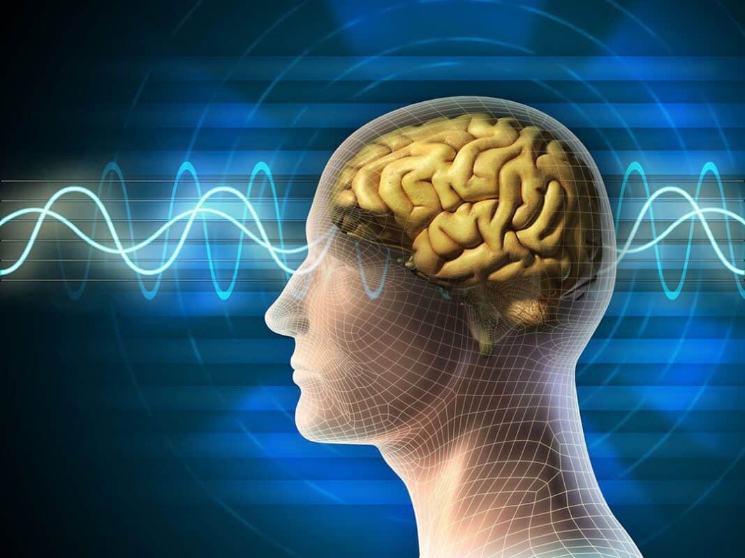 brain-activity-nootropic-waves