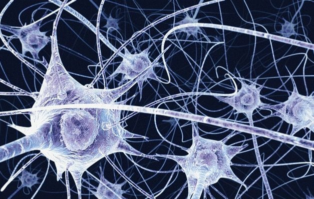 What are Nootropics