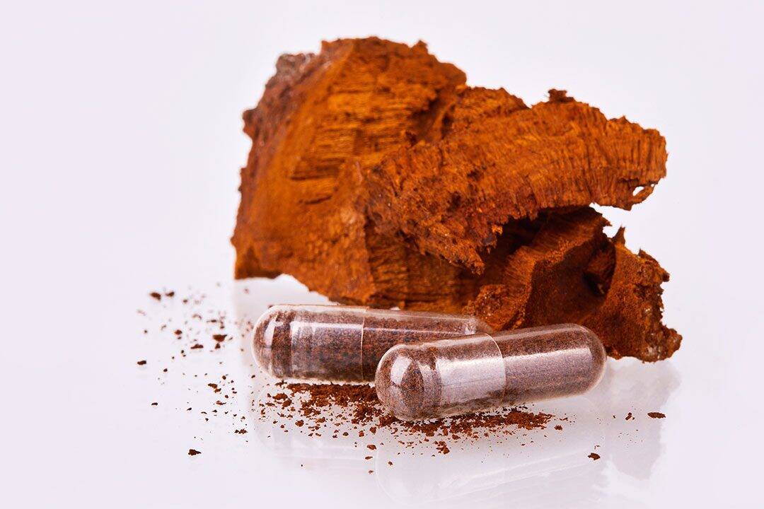 Superfood Powders, Mushroom Coffee, and Organic Superfood Blends