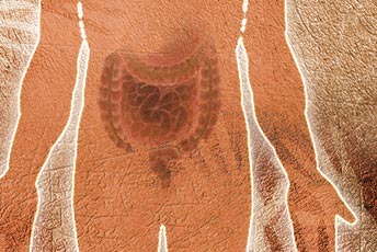 Colon Cleanse Made Easy, Get Unstuck with These Medicinal Foods