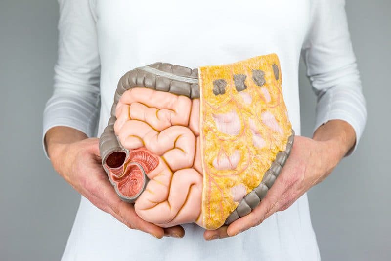 What Is A Colon Cleanse?
