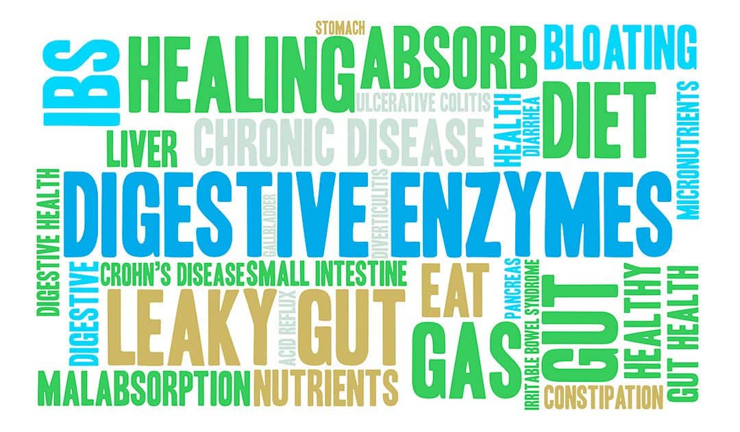 Support Muscle, Feel Better and Healthier with Superfoods from Medicinal-Foods.com
