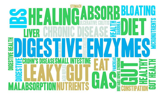 Support Muscle, Feel Better and Healthier with Superfoods from Medicinal-Foods.com
