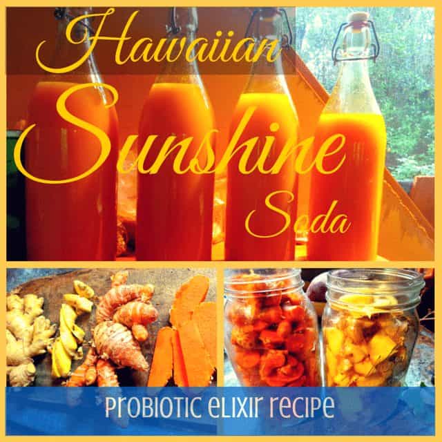 Probiotics Drink Recipe: Hawaiian Sunshine Soda