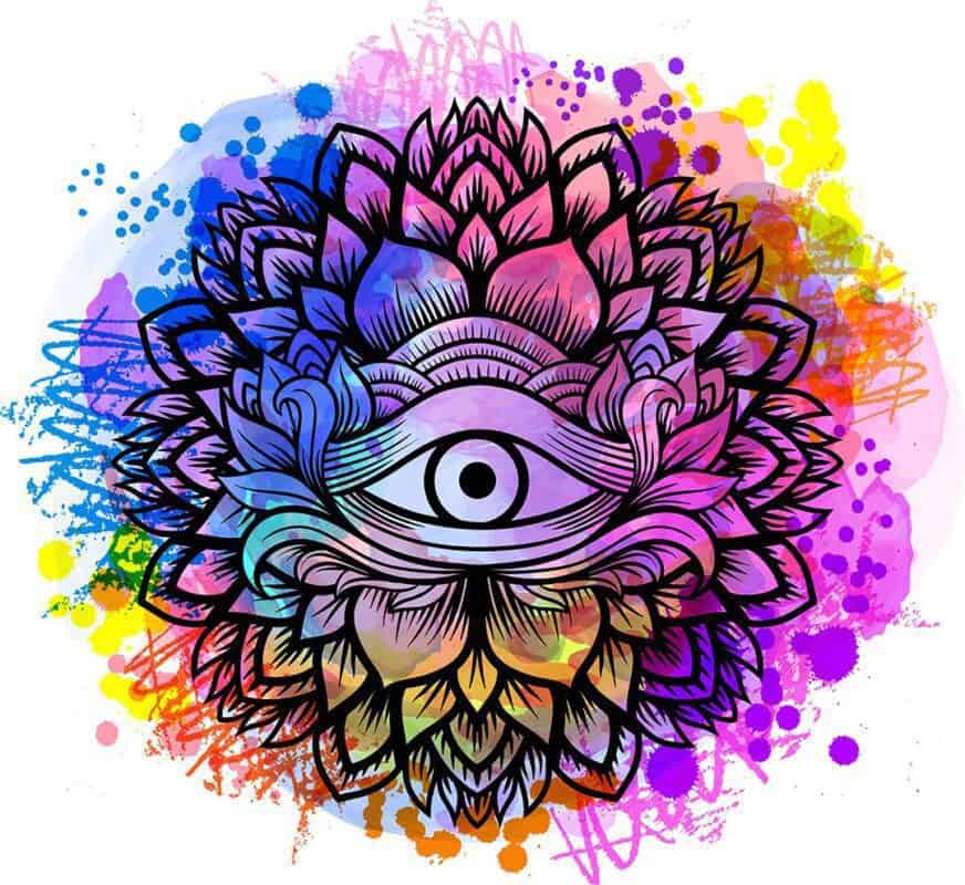 Pineal Gland Melatonin Production