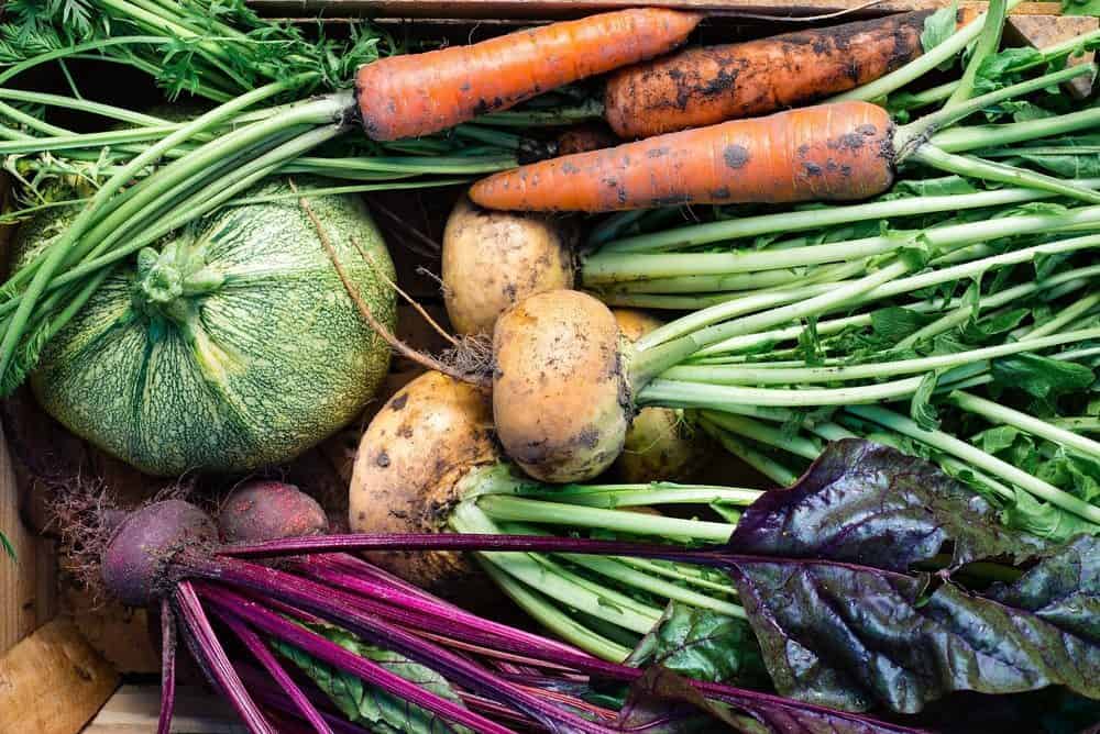 Is Eating Organic Worth The Cost?