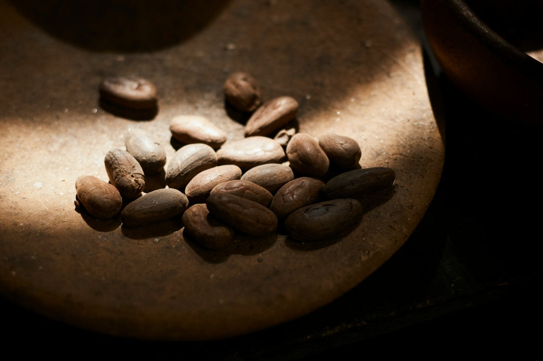 Theobromine Benefits: What Cacao May Do Beyond a Gentle Lift