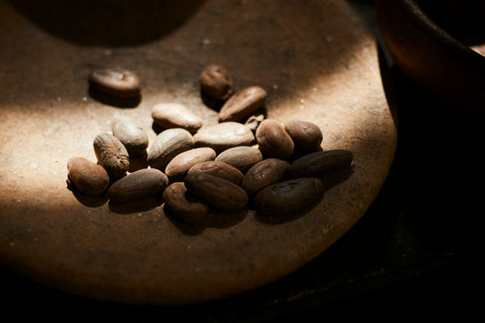 Theobromine Benefits: What Cacao May Do Beyond a Gentle Lift