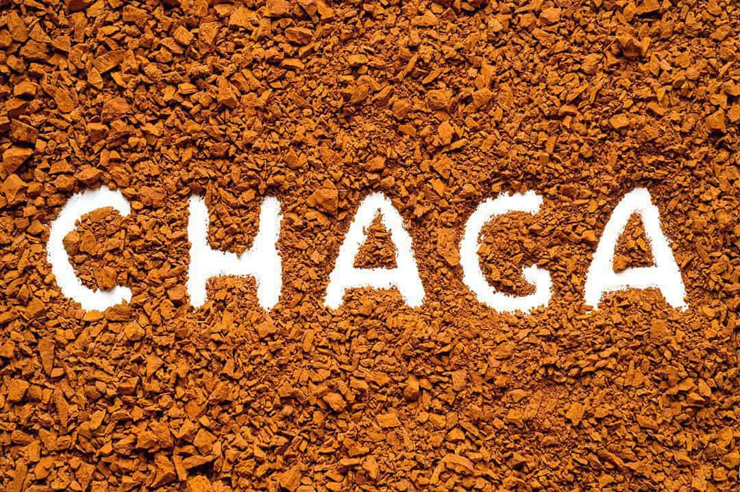 Chaga Mushroom For Sale