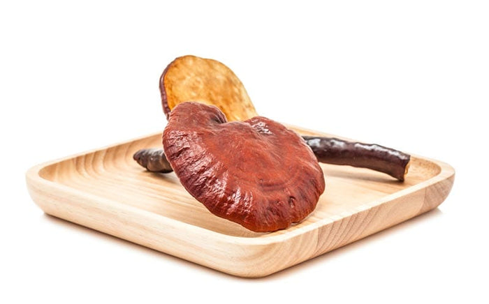 Reishi