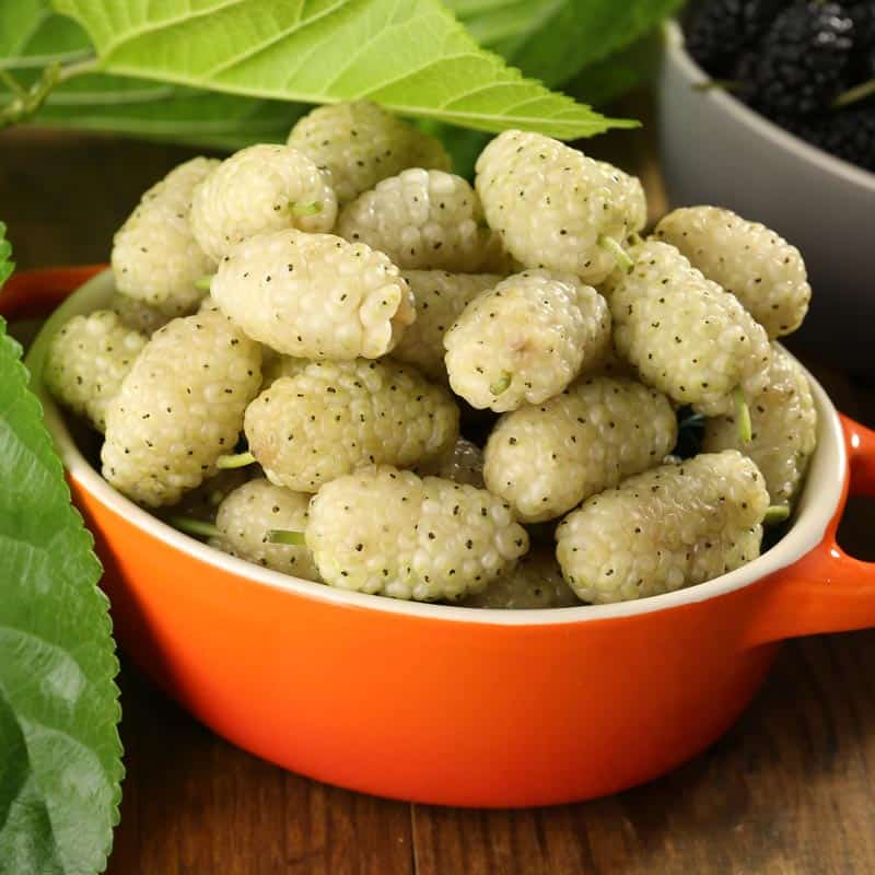 Chocolate Covered Mulberries, photo 4