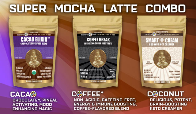 shop superfood smoothies mocha mix medicinal foods