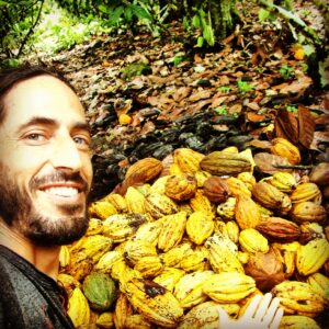Raw Cacao helps to decalcify gland