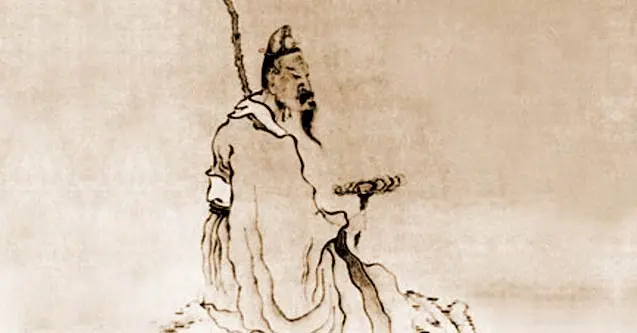 Ancient Reishi Mushroom Chinese Drawing 