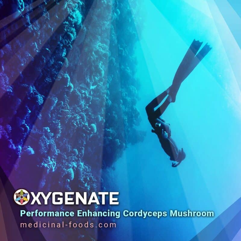 Oxygenate Performance Enhancing Cordycep Mushroom Powder