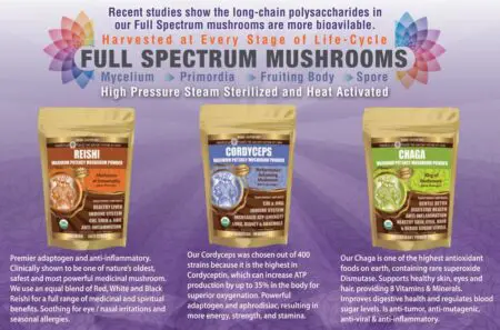 Full Spectrum Mushroom Powder