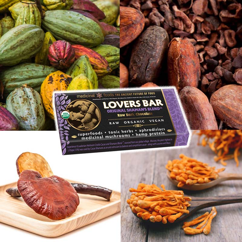 Shamans Blend Cacao Reishi Cordyceps Original