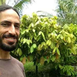 Sky Kubby with Cacao tree in Hawaii