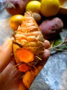 turmeric root with curcumin