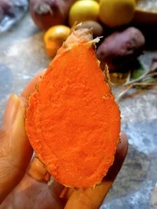 fresh sliced turmeric root