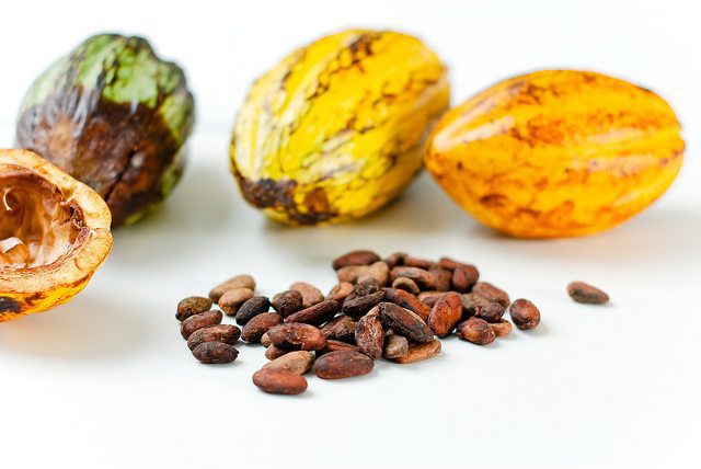 pure organic raw cacao