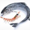 Will Krill Replace Fish Oil? 18195-1_n