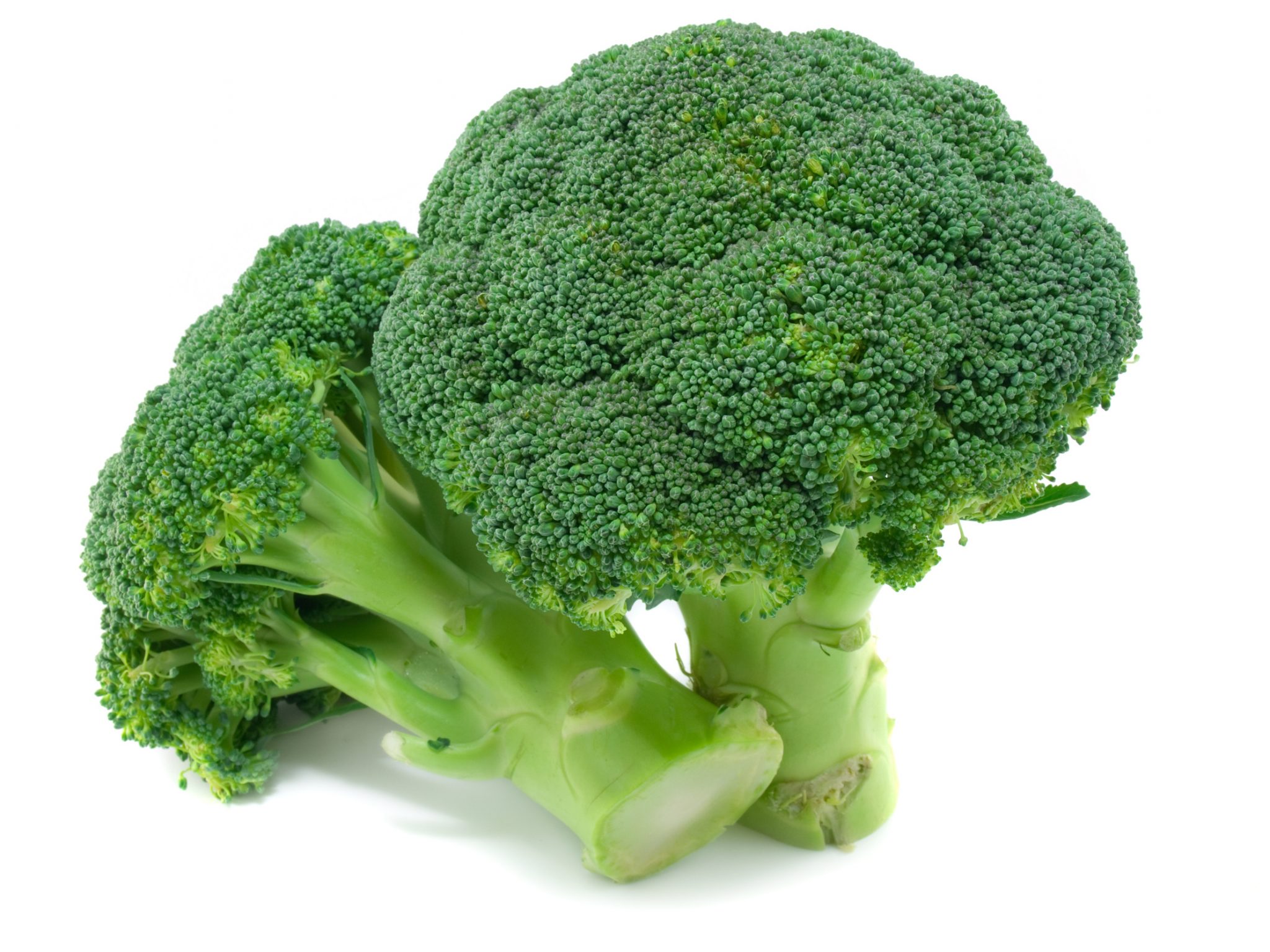 broccoli supergreens to help fight autism