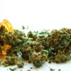 Cannabis Really Could Be “The Healing Of The Nation” medical-cannabis