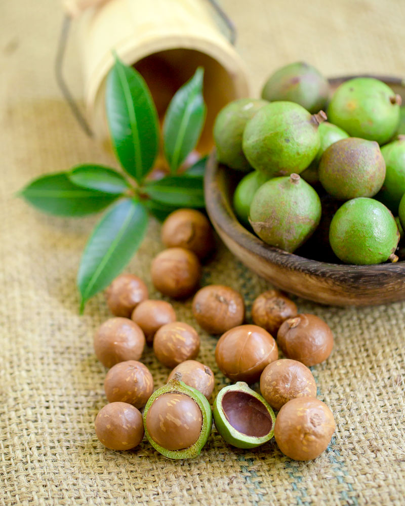 Fresh Hawaiian Macadamia Nuts