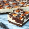 Raw Chocolate Swirl Cheesecake Raw Chocolate Swirl Cheesecake