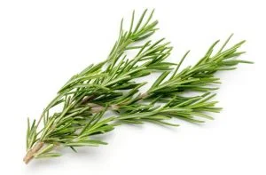 Rosemary Health Benefits