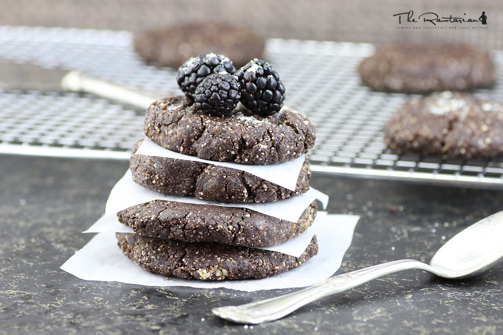 Raw Chocolate Cookies with Medicinal Foods