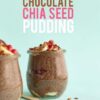 Raw Chocolate Chia Seed Pudding Raw Chocolate Vegan Chia Seed Pudding