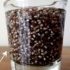 Chia Seed Energy Shot Chia Seed Energy Shot