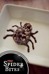 Raw Chocolate Halloween Bites