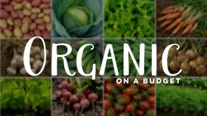How to Eat Organic on a Budget