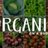 How to Eat Organic on a Budget How to Eat Organic on a Budget