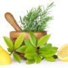 Top Medicinal Foods for Your Diet Top Medicinal Foods for Your Diet