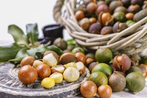 Macadamia