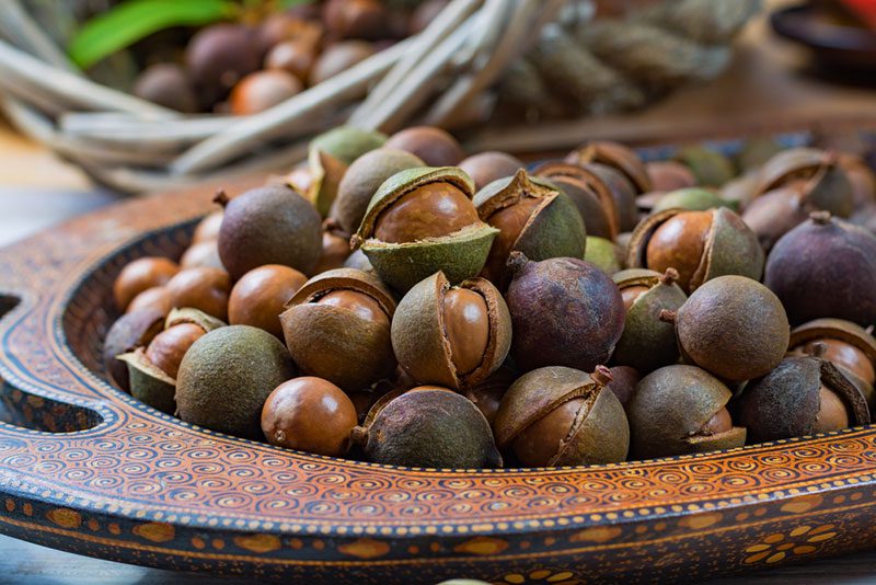 Raw Macadamia Nuts Healthy Snack Platter