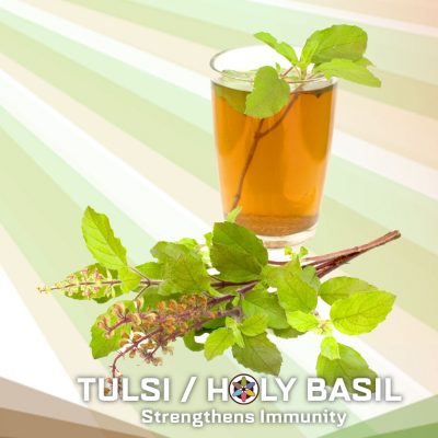 Holy Basil Tulsi Tea Ayurvedic Immunity 
