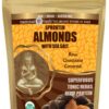 Sprouted Almonds covered in Raw Chocolate