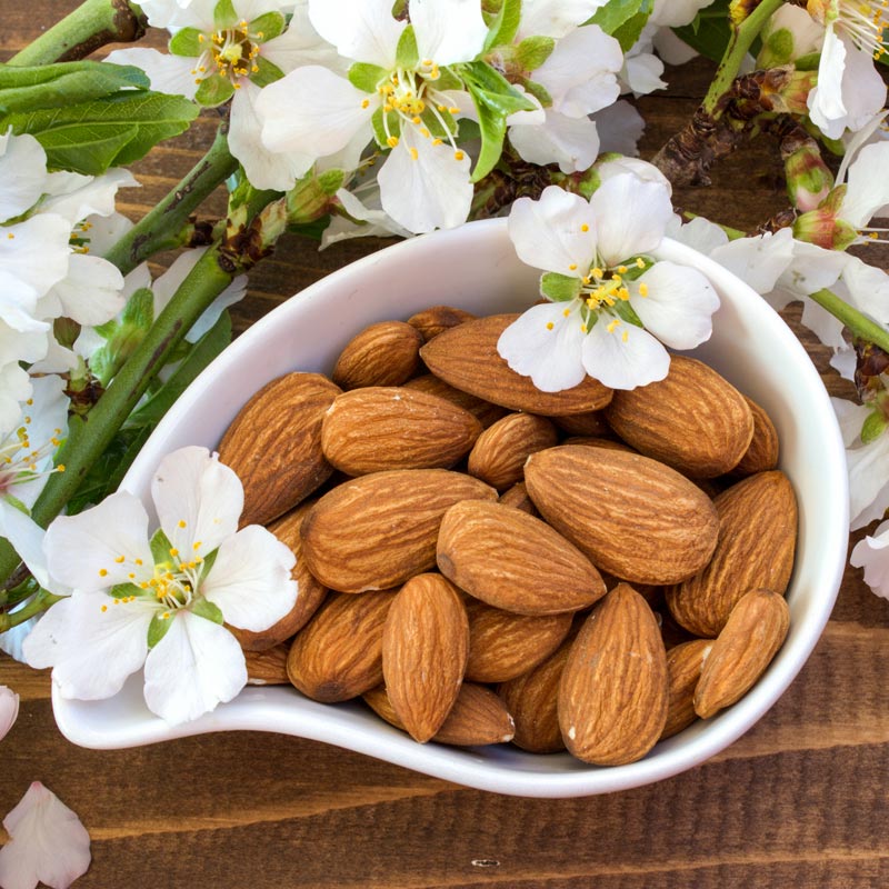 Almonds Blossoms Raw Organic Alkaline