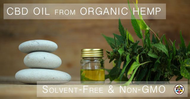 Cbd Oil Bottle Organic Non Gmo Hemp