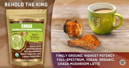 Chaga Mushroom Powder for Tea