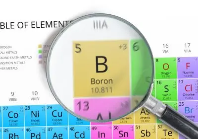 boron Pineal gland decalcification periodic table