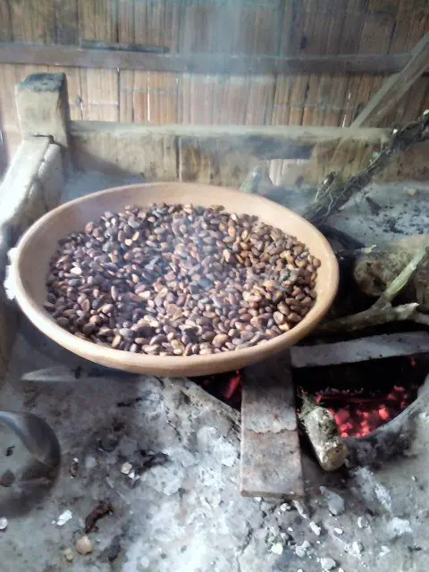 roasting chocolate beans
